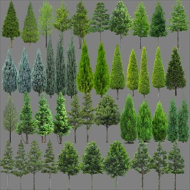 建筑景观效果图后期植物