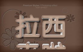 盾牌防卫安全木纹立体中文艺术字