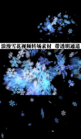 雪花转场特效视频 带透明度通道
