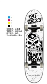 滑板 双翘板 大鱼板 小鱼板