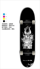 滑板 双翘板 大鱼板 小鱼板