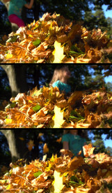 女孩在枫叶堆上玩耍实拍视频