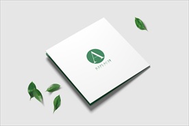 画册蜂蜜展示样机