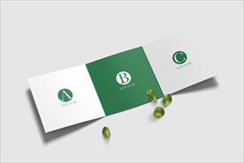 提案三折页样机