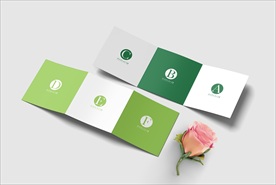 三折页画册展示