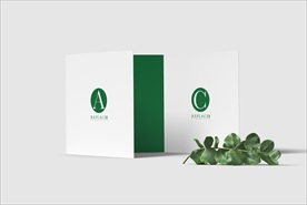 三折页展示样机