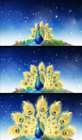 合成孔雀舞动态视频素材