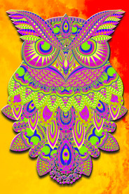 超巨大异域民族风猫头鹰艺术画