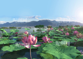 荷花动画模型场景
