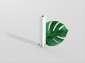 产品包装纸盒样机