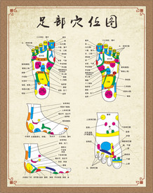 足部反射全息图