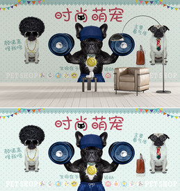 时尚宠物背景墙