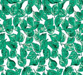 矢量高清绿叶子