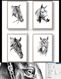 现代简约手绘骏马黑白无框装饰画