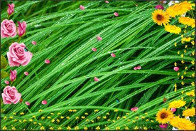 青草水珠鲜花3D立体地板