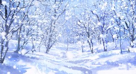 雪花纷飞的树林