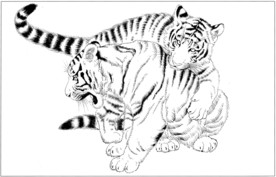 老虎 白描 素描 线描 国画