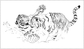 老虎 白描 素描 线描 国画