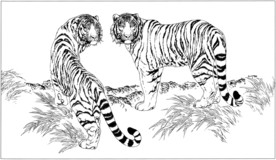 老虎 白描 素描 线描 国画