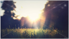 高清实拍逆光草地唯美空镜头素材