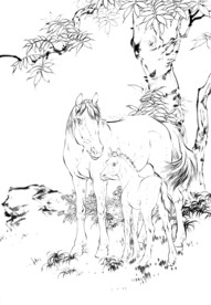 骏马 素描 白描 线描 国画稿