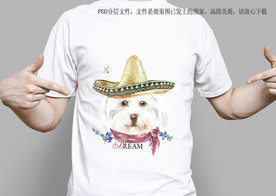 金帽子狗头服装设计