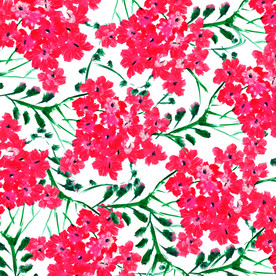 红色花卉 植物花朵  植物图案