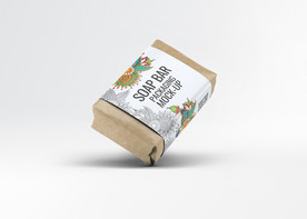 高档牛皮纸包装效果图PSD