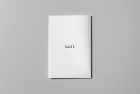 二折页样机高档通用效果图