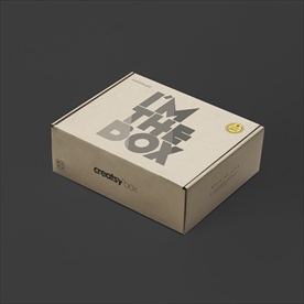 纸箱样机效果图高档