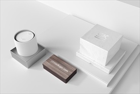 2018简约淡雅名片样机