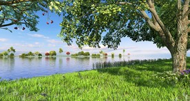 春天公园  树林  水景