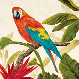 手绘金刚鹦鹉装饰画