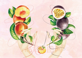 手绘桃子 百香果