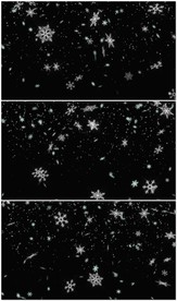 4K雪花飘落背景视频