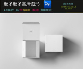 空白样品盒子样机效果图