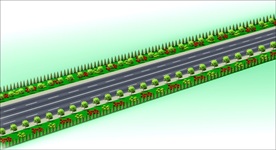 道路绿化效果图