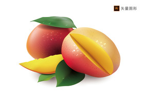 芒果矢量