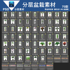 80款psd盆栽分层高清带名称
