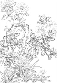 茶花 白描 素描 线描 国画