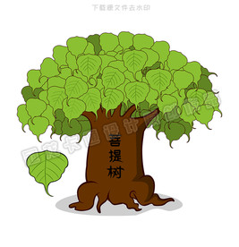 菩提树