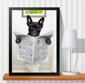 宠物海报  宠物店 宠物医院