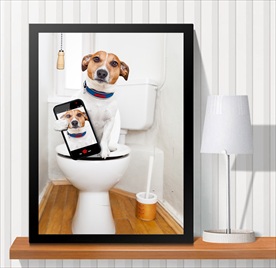 宠物海报  宠物店 宠物医院