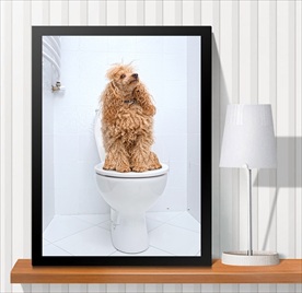 宠物海报  宠物店 宠物医院