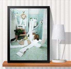 宠物海报  宠物店 宠物医院