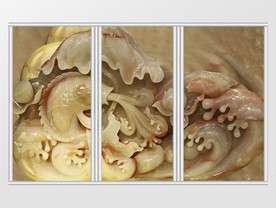 玉雕鱼儿喷水移门