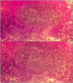 唯美粒子背景视频