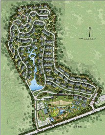 大型地产园林设计彩平图