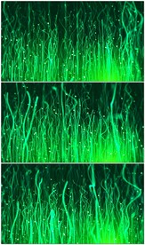 绿色海草波浪背景