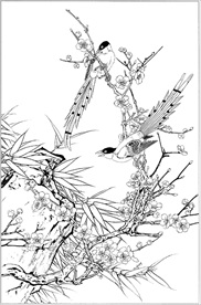 梅花线描 梅花白描 梅花素描